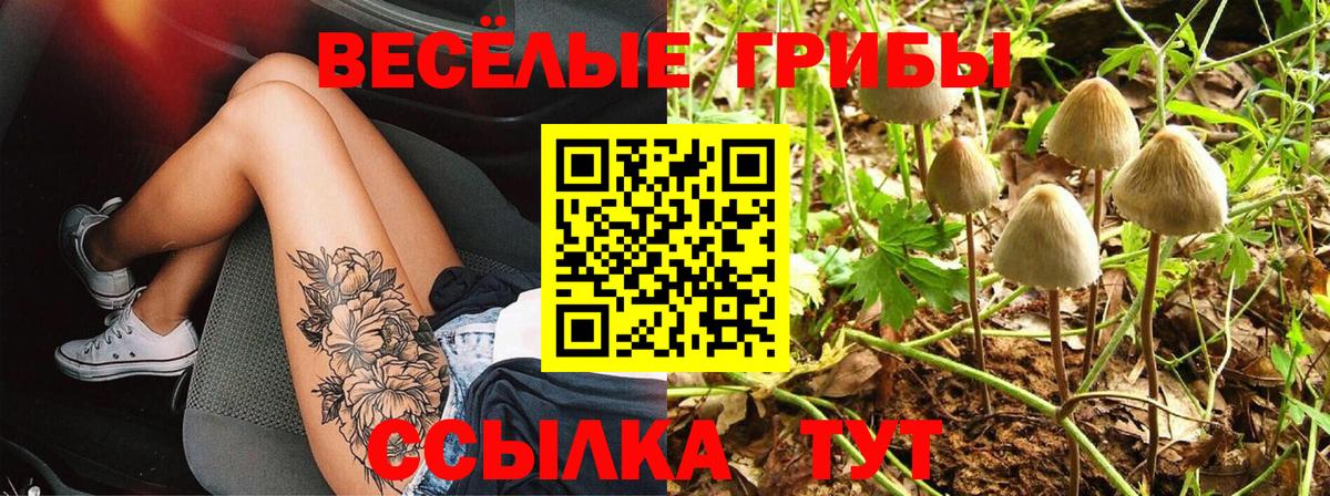 Тара  Псилоцибиновые грибы Magic Shrooms  Вход с VPN 