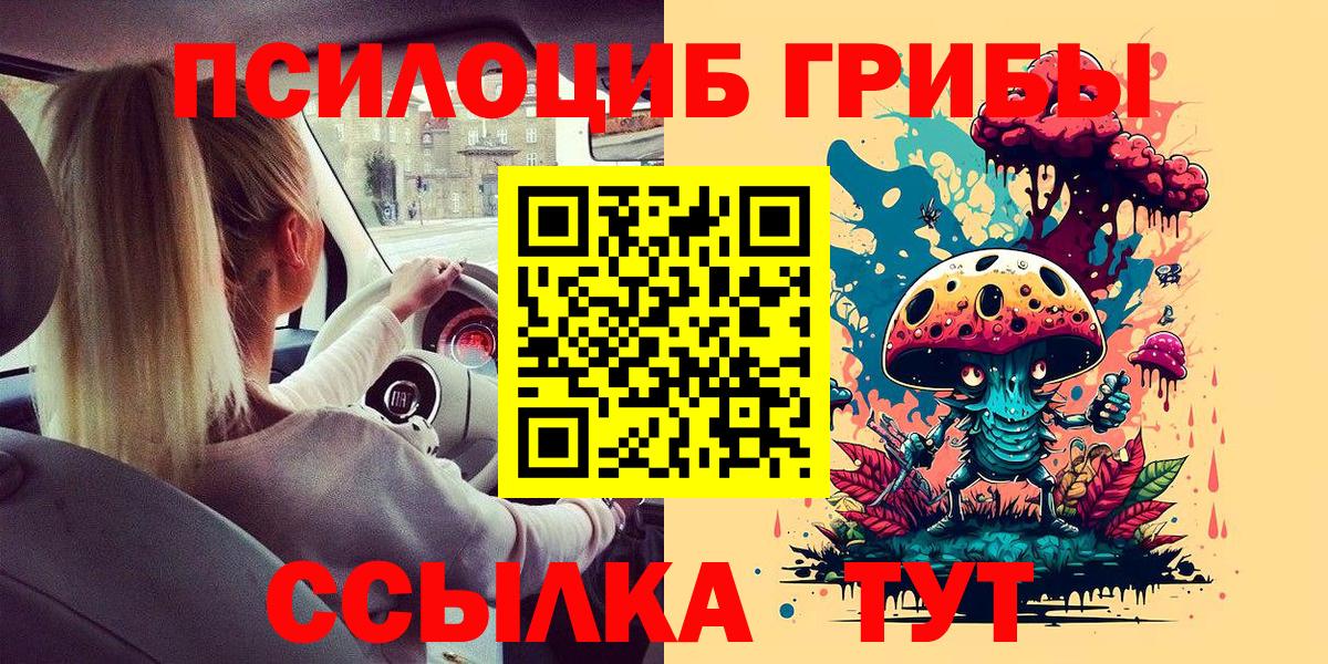 Галлюциногенные грибы Psilocybine cubensis Тара